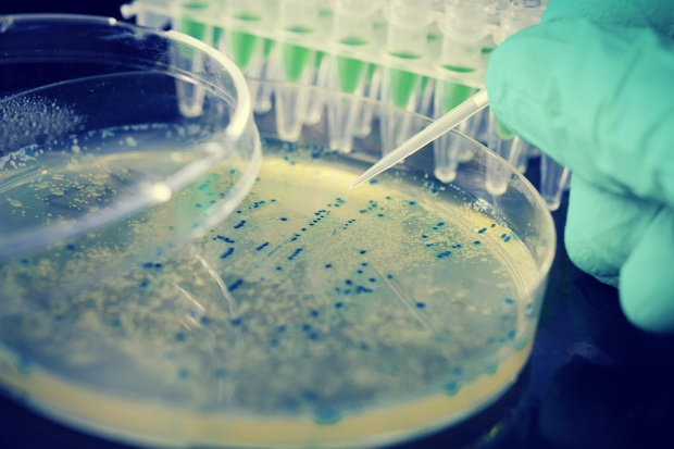 Bakterie są odporne nawet na kolistynę, tzw. antybiotyk ostatniej szansy UK: bakterie oporne na antybiotyk ostatniej szansy