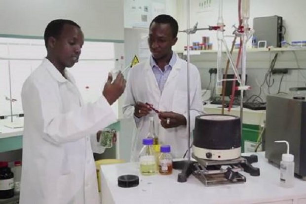 Burkina Faso: pracują nad mydłem odstraszającym komary