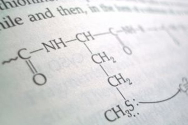 Nagroda Nobla z chemii za ulepszenie syntezy związków węgla