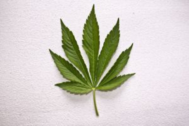 Badanie wykazało negatywny wpływ palenia marihuany na poziom cukru Badanie: marihuana wpływa na podwyższony poziom cukru