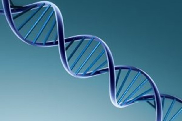 Inwestowane w biotechnologię stało się modne