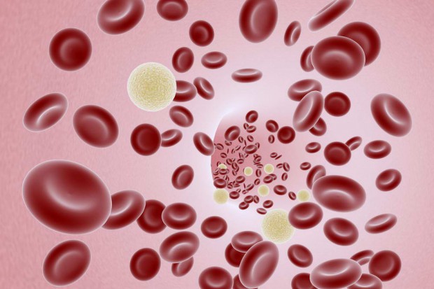 MZ o warunkach przechowywania krwi i jej składników