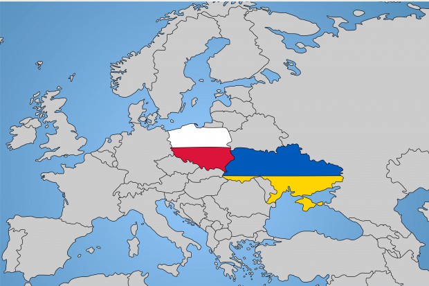 Kontrabanda w Medyce Kontrabanda z pławikonikiem koroniastym