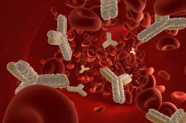 Na rynek wchodzi immunoglobulina z polskiego osocza