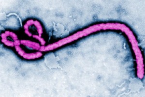 DRK: pierwsze szczepienia przeciwko eboli 21 maja