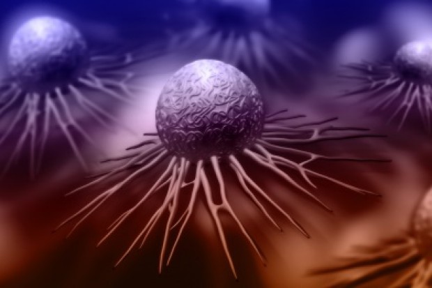Wysokie spożycie izoflawonów było związane ze zmniejszonym o 21 proc. ryzykiem zgonu u kobiet z nowotworami pozbawionymi receptorów hormonalnych Izoflawony spowalniają rozwój raka piersi. Występują w soi
