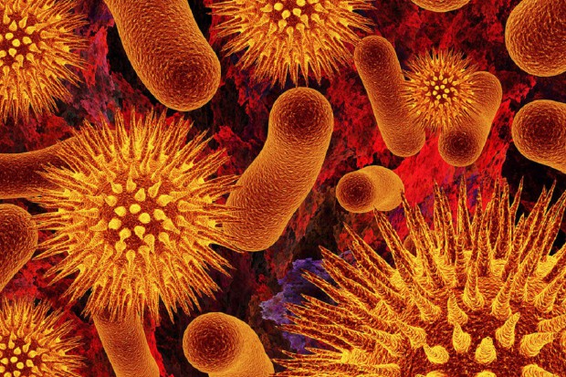 One już tu są: antybiotykooporne bakterie w Polsce