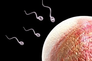 Przezorny za młodu? Bioetyk zaleca 18.latkom deponowanie spermy