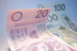 Szef Ludowców o odpłatności za usługi: to niebezpieczne