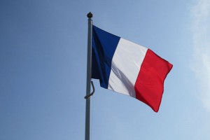Francja: potwierdzono nowy przypadek BSE u krowy