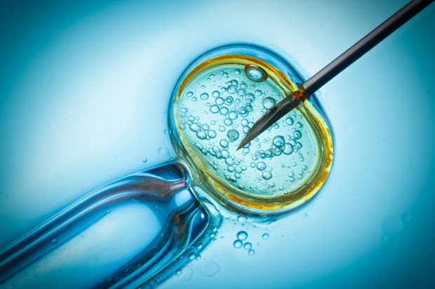 Wojewoda unieważnił gdański program dofinansowujący in vitro