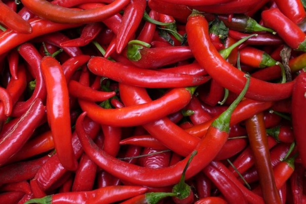Korzystne działanie papryczki chili jest najprawdopodobniej zasługą jej aktywnego składnika - kapsaicyny, która pomaga obniżyć poziom cholesterolu oraz poprawia drożność naczyń krwionośnych (fot. archiwum) Papryczka chili chroni przed zgonem w wyniku zawału i udaru
