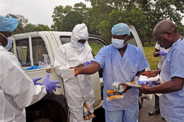 ZMapp, to obecnie najbardziej skuteczny testowany lek przeciwko wirusowi ebola Lek na ebolę w szybkiej rejestracji