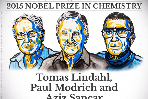 Trójka naukowców niezależnie prowadziła badania genetyczne. Ilustracja: nobelprize.org Nobel z chemii: za wyjaśnienie jak komórki naprawiają DNA