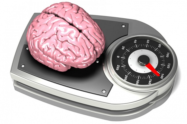 Trzylatki, które mają mutację genu APOEe4, mają też mniejszy mózg Mniejszy mózg trzylatków związany z genem współodpowiedzialnym za alzheimera