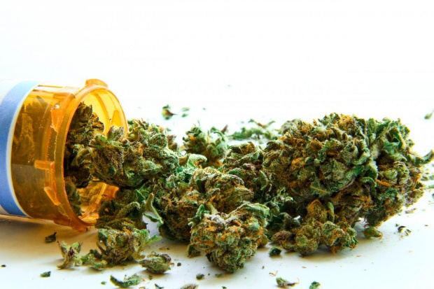 Rząd brytyjski nie chce się ugiąć przed naciskiem obywateli na legalizację marihuany Wielka Brytania: tu też chcą legalizacji marihuany
