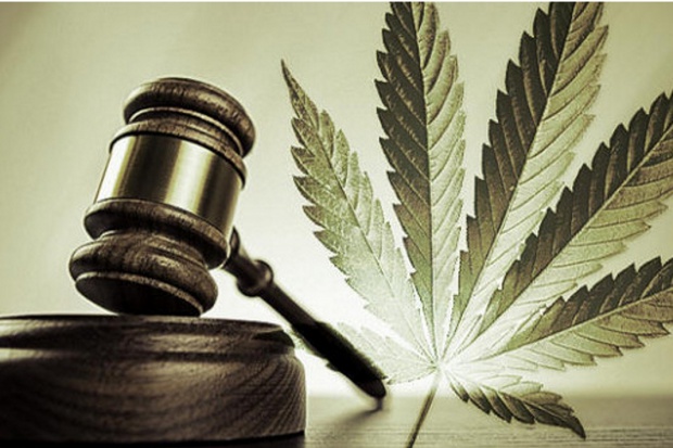 W Łodzi kandydaci na posłów są za legalizacją marihuany leczniczej Łódź: kandydaci zgodni – marihuana lecznicza wygrywa wybory