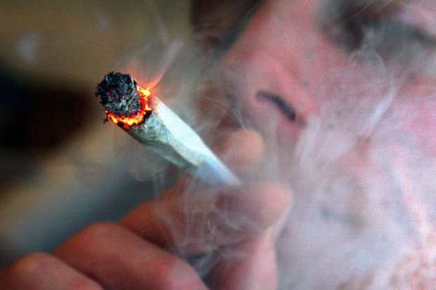 Ekspozycja na działanie kannabinoidów w młodzieńczym wieku zmienia proces dojrzewania mózgu (fot. archiwum) Używanie w młodości marihuany może mieć długofalowe skutki