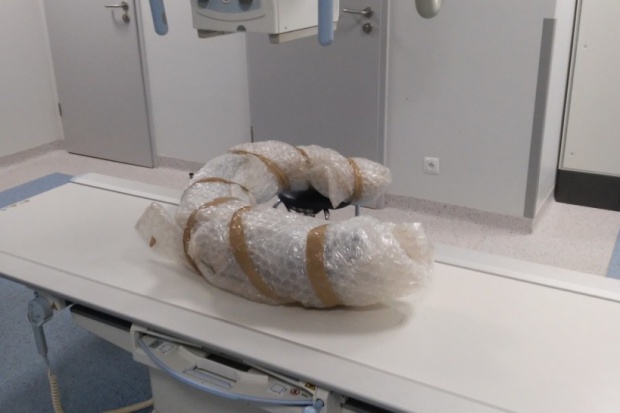Ten cios należał do mamuciego niemowlaka. Fot. Muzeum w Wodzisławiu Śląskim Piekary Śląskie: najstarszy „niemowlak” trafił do szpitala