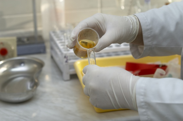 Farmaceuci i biotechnolodzy zrekonstruują leki, a następnie sprawdzą ich rzeczywiste działanie (fot. archiwum) Naukowcy sprawdzą działanie staropolskich receptur
