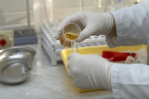 BioMaxima pracuje nad testami do oznaczania lekowrażliwości