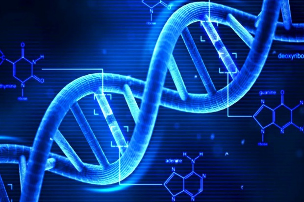 Uzyskane podobieństwo było tak doskonałe, że sztucznie stworzone cząsteczki "oszukiwały" enzymy, które w komórce naturalnie wiążą się z DNA (fot. archiwum) Sztucznie stworzone cząsteczki naśladują DNA. W jakim celu?