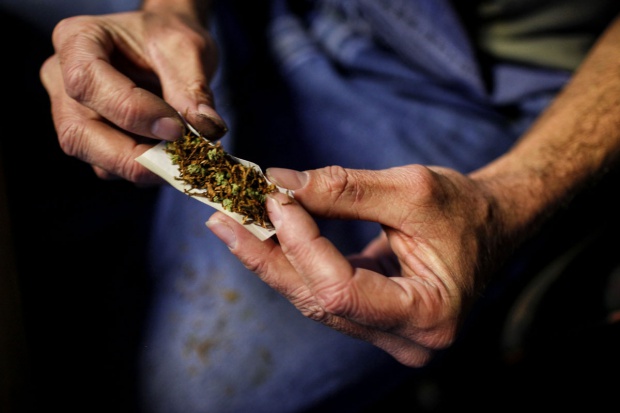 Medyczna marihuana ma być dostępna za rok w polskich aptekach GW: gram leczniczej marihuany ma kosztować ok. 55 złotych