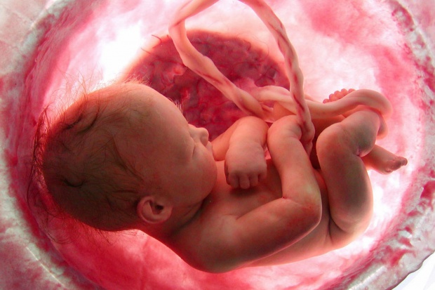 Nowa metoda skraca czas przebywania zarodka poza matką Pogodzili in vitro z naturalnym zapłodnieniem