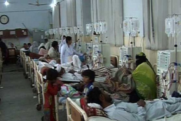Epidemia świńskiej grypy zbiera smiertelne żniwo także w Polsce Śmiertelne ofiary świńskiej grypy we Wrocławiu
