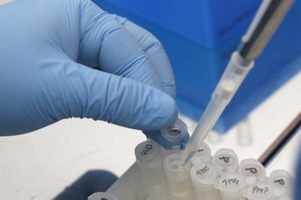 W tym roku (stan na 15 sierpnia) zanotowano 18 przypadków gorączki denga i 13 malarii Ekspertka: głównym zabójcą podróżujących w tropiki jest malaria
