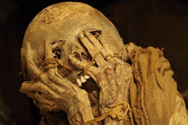 Wyniki późniejszych odkryć archeologicznych potwierdziły, że od czasu Starego Państwa (lata ok. 2675–2170 p.n.e.) istniał w Egipcie nie tylko stan lekarski, lecz byli już specjaliści różnych dziedzin Już w starożytnym Egipcie był podział na specjalizacje