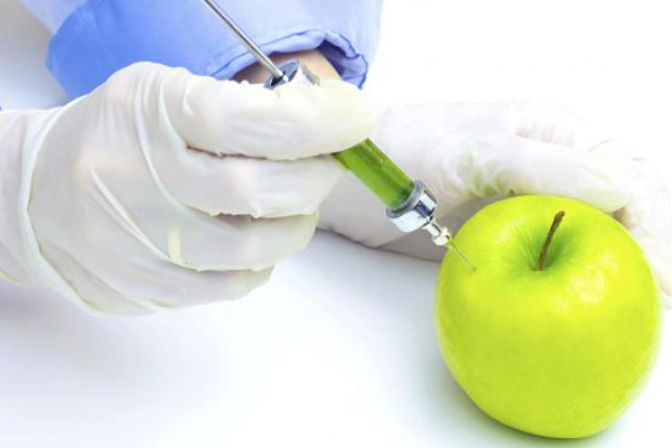 W opinii noblistów przepisy dotyczące GMO powinny zostać złagodzone (Fot. Archiwum) GMO nie takie straszne? Nobliści wyjaśniają dlaczego
