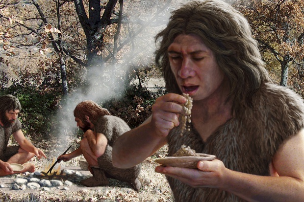Jednym z czynników wyginięcia neandertalczyków mogła być ich dieta Neandertalczycy wymarli z powodu diety