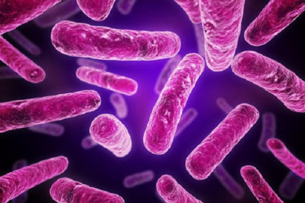 Grzybica Candida auris Grzybice bardziej śmiercionośne niż malaria i rak piersi