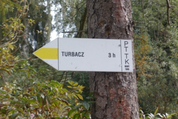 Izba organizuje wejście na szczyt Turbacza XI Rajd Turystyczny Śląskiej Izby Aptekarskiej - Turbacz