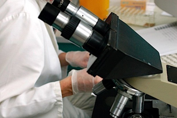 Nanocząstki mogą zastąpić toksyczny dla nerek środek kontrastujący (Fot. Archiwum) Badania: nanocząstki można wykorzystać jako środek kontrastujący