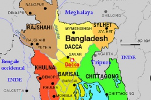 Bangladesz: pierwszy przypadek człowieka-drzewa u kobiety
