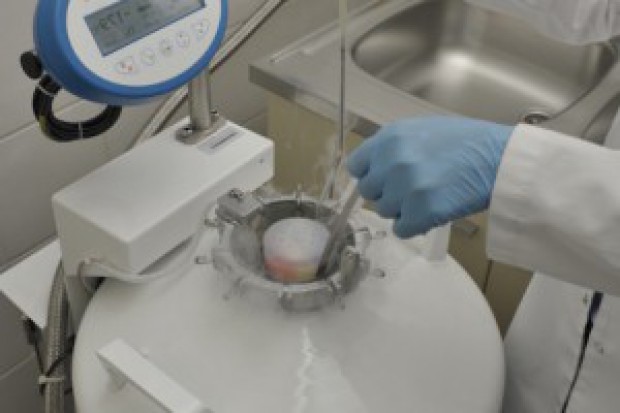 Portugalia: zamrożone embriony będą mogły być zlikwidowane 
