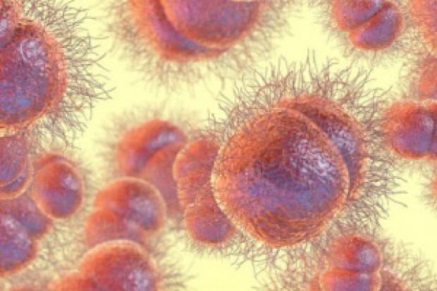 Co roku rzeżączką zaraża się aż 78 milionów osób WHO alarmuje: rzeżączka staje się oporna na antybiotyki