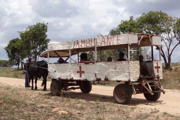 Zakażenia wzrosły na Madagaskarze u o 3 proc. w ciągu zaledwie trzech dni (Fot. Archiwum) Madagaskar: wybuch epidemii dżumy największy od 50 lat?