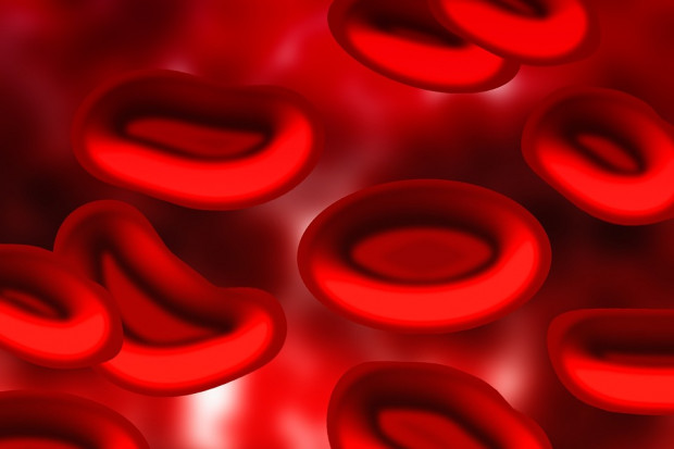 Badania: stworzono zamienniki czerwonych krwinek