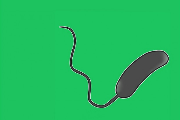 Od kwietnia 2017 roku cholera zabiła w Jemenie już ponad 2,5 tys. osób. Według Lekarzy Świata zanotowano 1,2 mln przypadków podejrzenia o tę chorobę (fot. archiwum) Jemen: brak wody przyczyną nawracających epidemii cholery