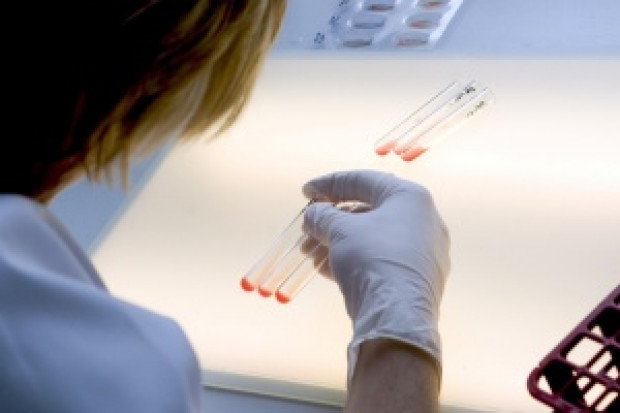 Zdarzają się przypadki, że rodzice odmawiają wykonania dziecku testu (Fot. Archiwum) Odmowa przeprowadzenia testu u dziecka może skutkować ograniczeniem władzy rodzicielskiej?