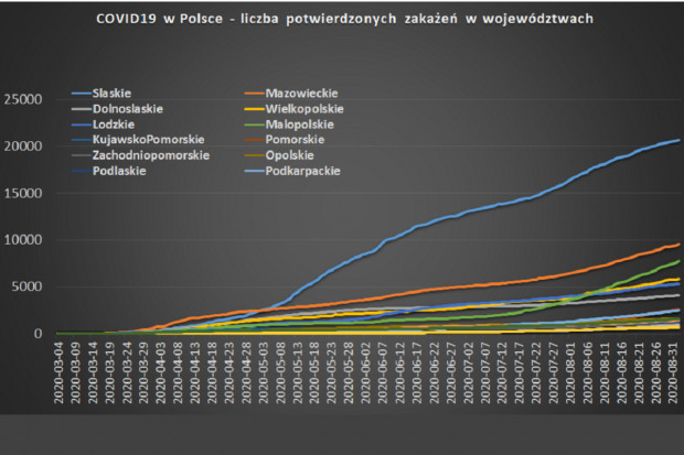 Analitycy: bardzo interesujący będzie w najbliższym czasie przebieg epidemii w Szwecji, która zapowiada, że w tym kraju drugiej fali zachorowań nie będzie (fot. ExMetrix) Szwecja zapowiada, że tam drugiej fali zachorowań nie będzie