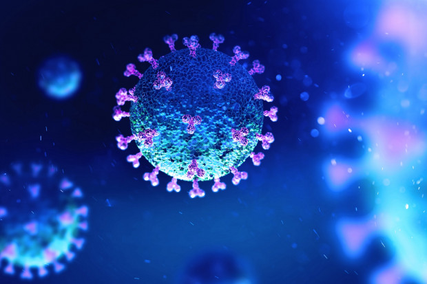 UE powinna wyznaczyć głównego europejskiego epidemiologa i stworzyć do końca 2021 r. odpowiednią strukturę zarządzania - ocenia Komisja Europejska Fot. ShutterStock Data dodania: 20 grudnia 2022 Potrzebny europejski epidemiolog? KE podsumowuje 18 miesięcy walki z pandemią