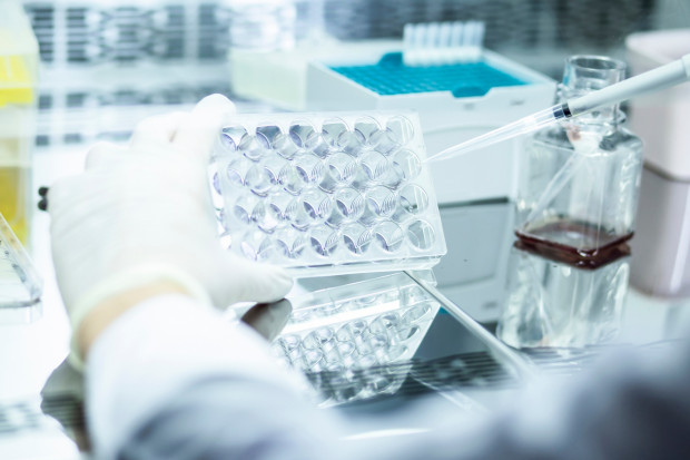 Trwa wyścig naukowców z odpornością bakterii. Fot. ShutterStock Data dodania: 21 grudnia 2022 Trwa wyścig naukowców z lekoodpornością bakterii